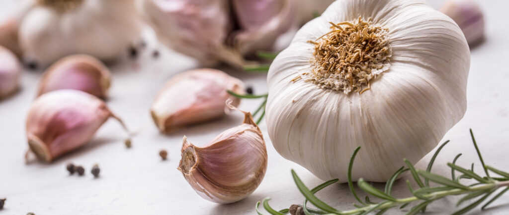 garlic bulbs image